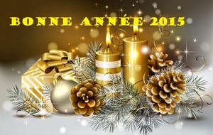 Bonne Année 2015 !
