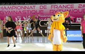 Championnat de france GR