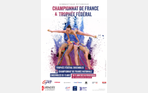 Championnat de France des Ensembles TFA
