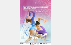 Championnat de France TFA
